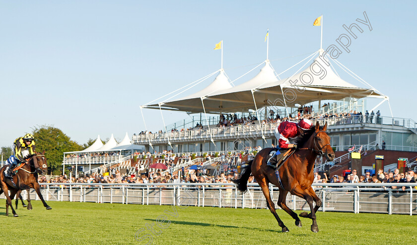 Vino-Victrix-0003 
 VINO VICTRIX (Benoit de la Sayette) wins The William Hill Scratch Of The Day Handicap
Goodwood 26 Aug 2022 - Pic Steven Cargill / Racingfotos.com