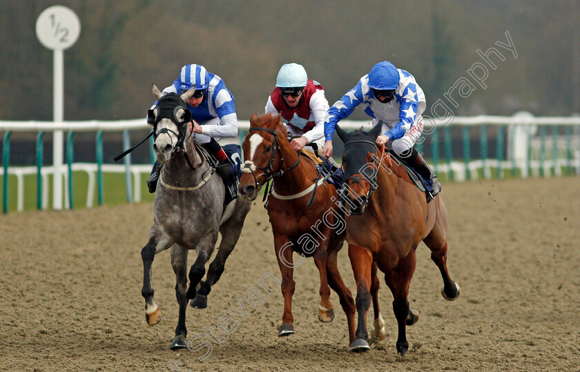 Murhib-0003 
 MURHIB (right, Robert Havlin) beats ARABESCATO (left, Adam Kirby) and THREE DRAGONS (centre, Joe Fanning) in The Heed Your Hunch At Betway Handicap
Lingfield 6 Feb 2021 - Pic Steven Cargill / Racingfotos.com