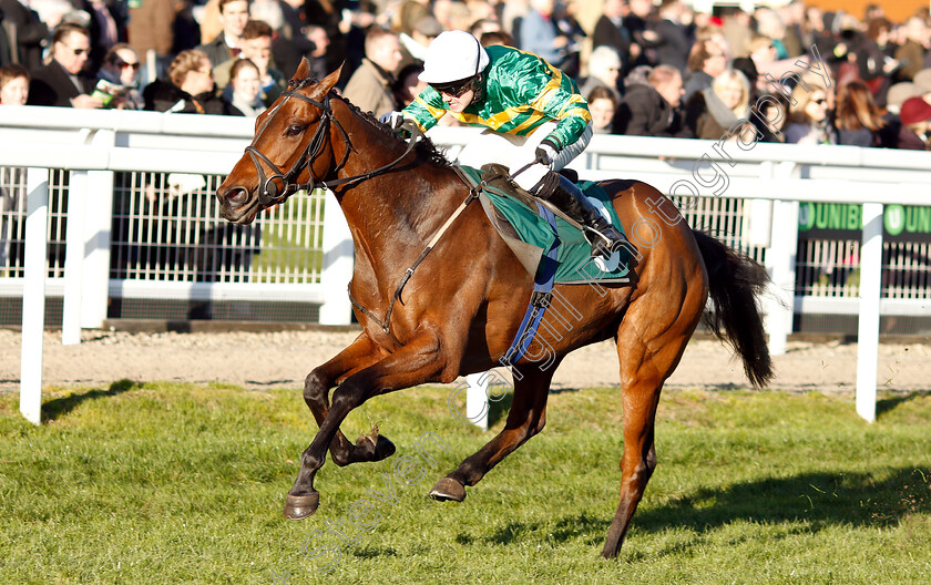 Palmers-Hill-0004 
 PALMERS HILL (Jonjo O'Neill Jr) wins The Steve And Sue Ibberson Retirement Conditional Jockeys Handicap Hurdle
Cheltenham 18 Nov 2018 - Pic Steven Cargill / Racingfotos.com