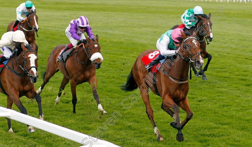 Siyola-0004 
 SIYOLA (William Buick) wins The bet365 Wild Card Fillies Novice Stakes
Sandown 26 Apr 2024 - Pic Steven Cargill / Racingfotos.com