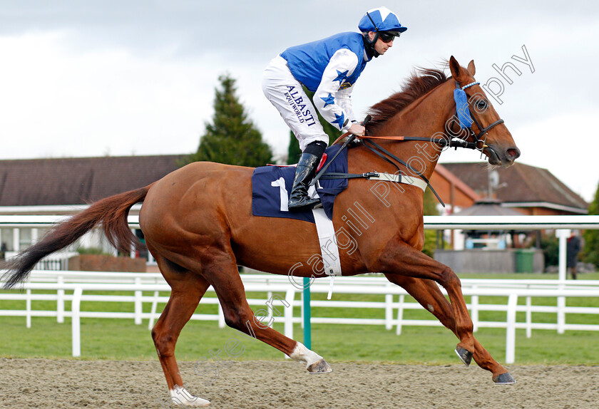 Petite-Jack 
 PETITE JACK (Jack Mitchell)
Lingfield 1 Dec 2021 - Pic Steven Cargill / Racingfotos.com