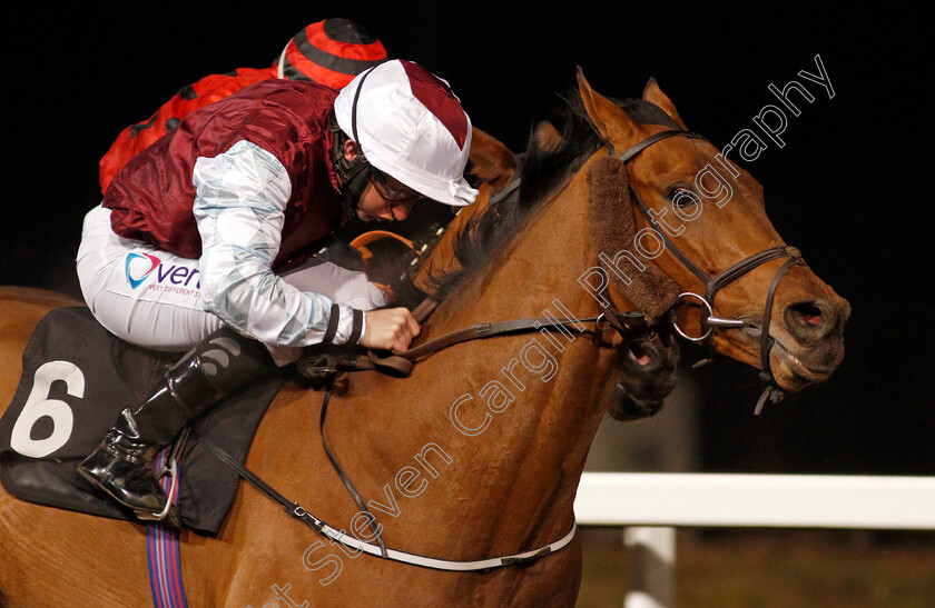 Sir-Canford-0001 
 SIR CANFORD (P J McDonald) 
Chelmsford 27 Nov 2020 - Pic Steven Cargill / Racingfotos.com