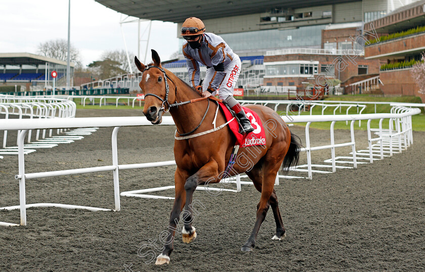 Sky-Defender-0001 
 SKY DEFENDER (Franny Norton)
Kempton 27 Mar 2021 - Pic Steven Cargill / Racingfotos.com