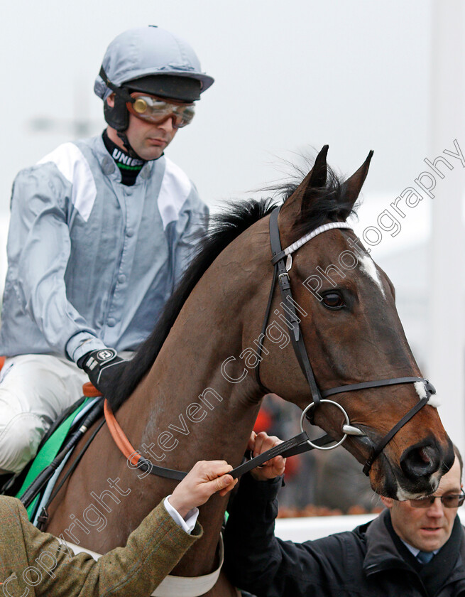 Santini-0003 
 SANTINI (Nico de Boinville) winner of The Paddy Power Cotswold Chase
Cheltenham 25 Jan 2020 - Pic Steven Cargill / Racingfotos.com