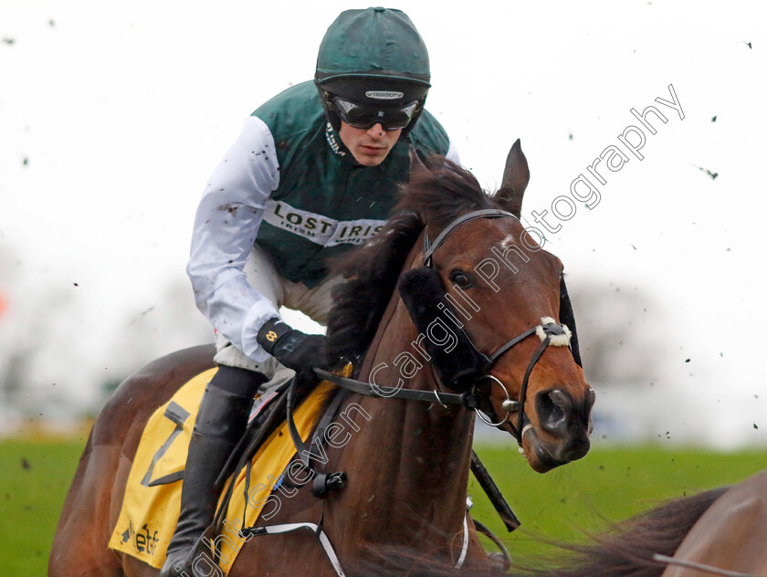 Solness-0001 
 SOLNESS (Danny Mullins)
Sandown 7 Dec 2024 - Pic Steven Cargill / Racingfotos.com