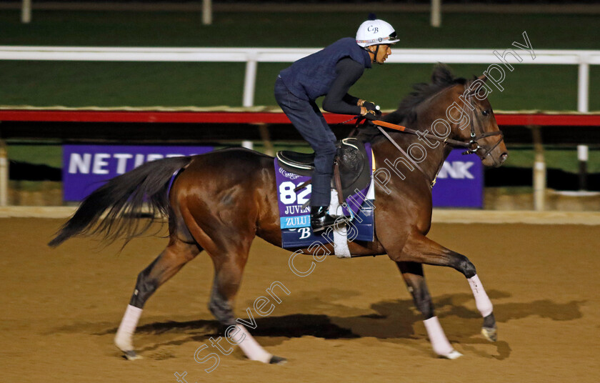 Zulu-Kingdom-0001 
 ZULU KINGDOM training for the Breeders' Cup Juvenile Turf 
Del Mar USA 30 Oct 2024 - Pic Steven Cargill / Racingfotos.com