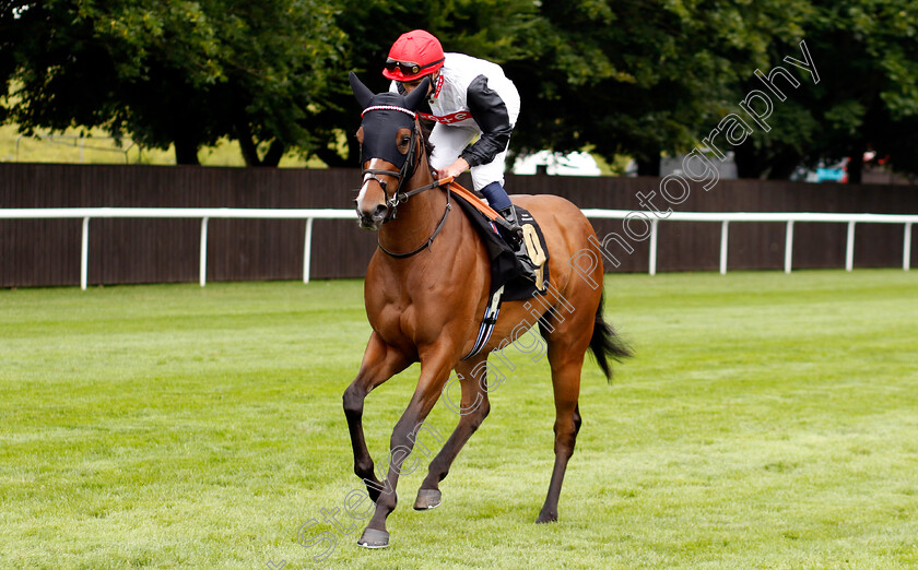 Lou-Lou s-Gift-0001 
 LOU LOU'S GIFT (William Buick)
Newmarket 13 Jul 2024 - Pic Steven Cargill / Racingfotos.com