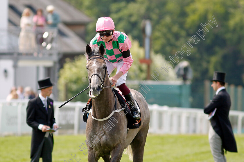 Technique-0001 
 TECHNIQUE (Rob Hornby)
Epsom 4 Jun 2022 - Pic Steven Cargill / Racingfotos.com