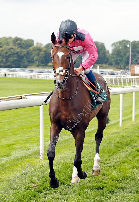 Spanish-Mission-0001 
 SPANISH MISSION (William Buick)
York 20 Aug 2021 - Pic Steven Cargill / Racingfotos.com