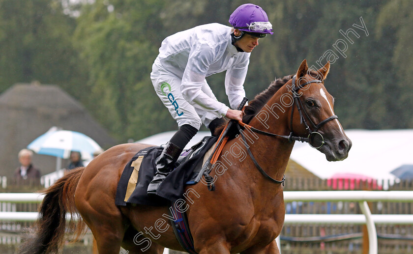 Straits-Of-Moyle-0001 
 STRAITS OF MOYLE (Barry McHugh)
Newmarket 5 Aug 2023 - Pic Steven Cargill / Racingfotos.com