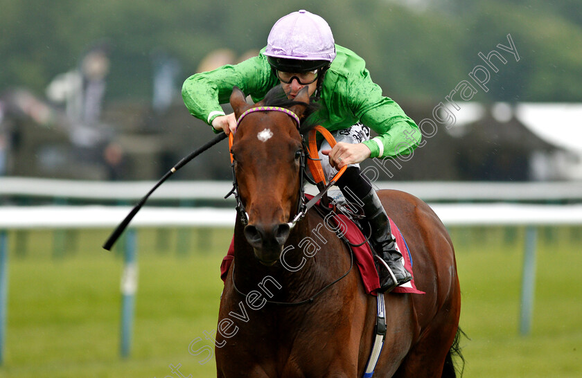 Arthur-Kitt-0008 
 ARTHUR KITT (Richard Kingscote) wins The Bets Odds Guaranteed At 188bet British EBF Novice Stakes
Haydock 25 May 2018 - Pic Steven Cargill / Racingfotos.com