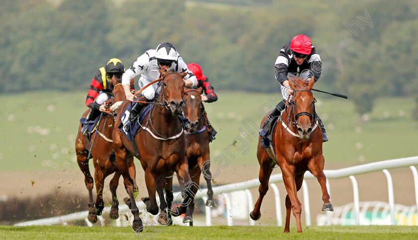 Awesome-0003 
 AWESOME (right, Adam Kirby) beats SHAYA (left) in The Bloodwise Big Welsh Car Show Fillies Novice Stakes Chepstow 6 Sep 2017 - Pic Steven Cargill / Racingfotos.com