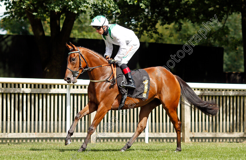 Almohandesah-0001 
 ALMOHANDESAH (Shane Kelly)
Newmarket 7 Aug 2021 - Pic Steven Cargill / Racingfotos.com