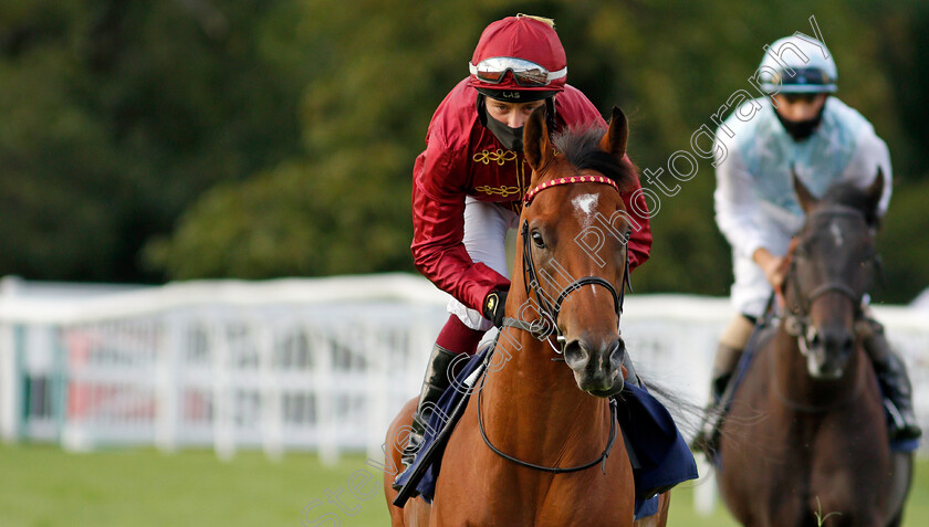 Code-Of-Silence-0001 
 CODE OF SILENCE ridden by Cieren Fallon in the colours of Qatar Racing
Lingfield 26 Aug 2020 - Pic Steven Cargill / Racingfotos.com