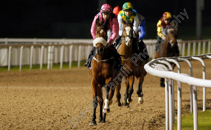 Loving-Glance-0002 
 LOVING GLANCE (Richard Kingscote) before The Bombardier British Hopped Amber Beer Novice Stakes
Chelmsford 26 Nov 2019 - Pic Steven Cargill / Racingfotos.com