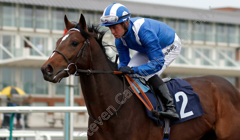 Dawaam-0003 
 DAWAAM (Jim Crowley) before winning The Ladbrokes Bet £5 Get £20 EBF Novice Stakes
Lingfield 20 Nov 2018 - Pic Steven Cargill / Racingfotos.com