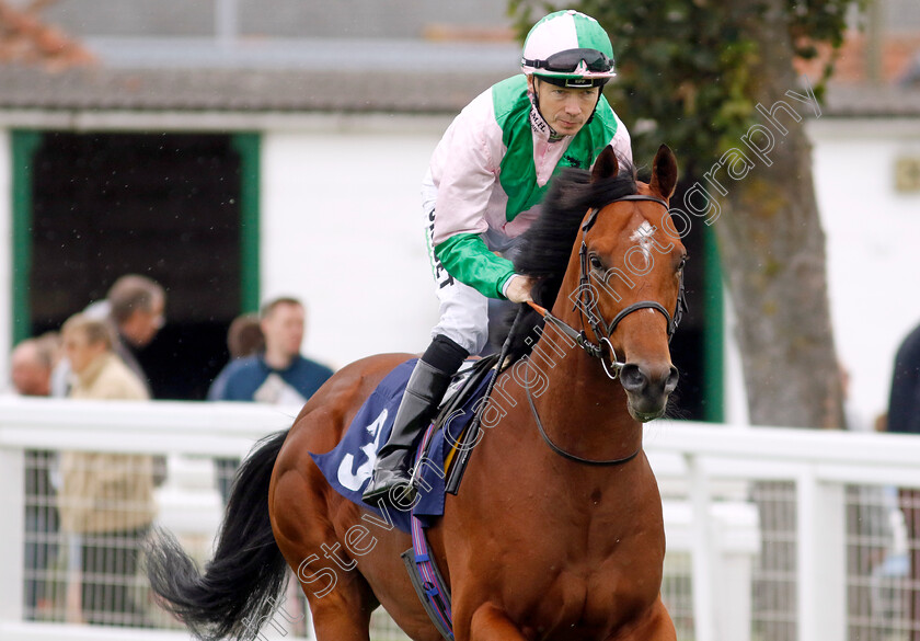 Cloud-King-0002 
 CLOUD KING (Jamie Spencer)
Yarmouth 19 Sep 2023 - Pic Steven Cargill / Racingfotos.com