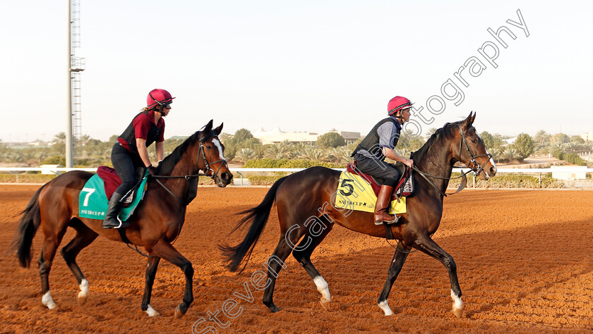 Mount-Everest-and-Magic-Wand-0002 
 MOUNT EVEREST (right) and MAGIC WAND (left) preparing for Saudi Cup day
Riyadh Racetrack, Kingdom Of Saudi Arabia, 27 Feb 2020 - Pic Steven Cargill / Racingfotos.com