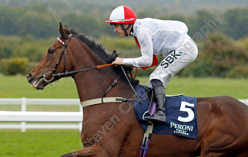 Riffa-Fort-0002 
 RIFFA FORT (Richard Kingscote)
Ascot 30 Sep 2022 - Pic Steven Cargill / Racingfotos.com