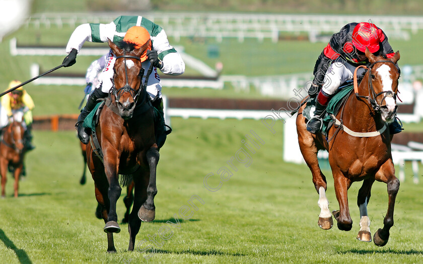 Stylish-Dancer-0003 
 STYLISH DANCER (left, Harry Skelton) beats CUBSWIN (right) in The Arkells Brewery Fillies Juvenile Handicap Hurdle Cheltenham 19 Apr 2018 - Pic Steven Cargill / Racingfotos.com