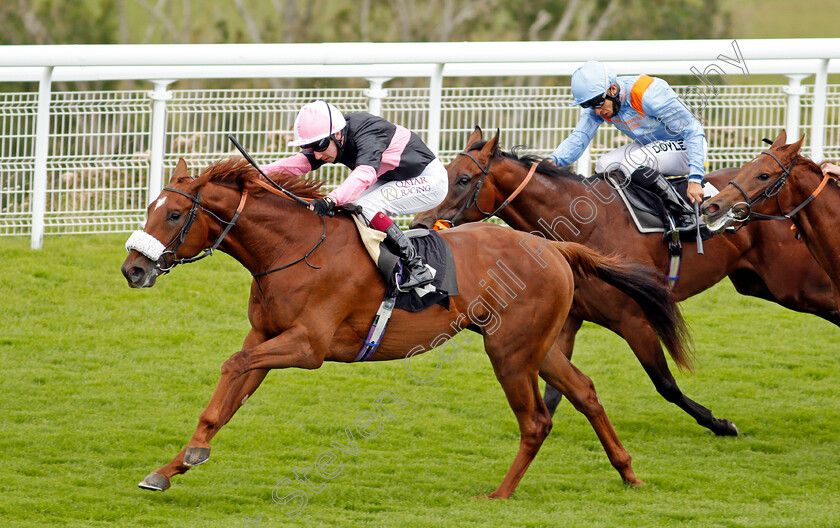 Classic-Lord-0004 
 CLASSIC LORD (Oisin Murphy) wins The Ladbrokes Watch Racing Online For Free Maiden Auction Stakes
Goodwood 30 Aug 2020 - Pic Steven Cargill / Racingfotos.com