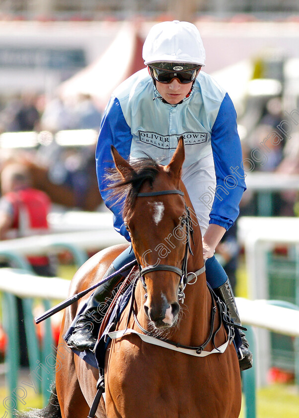 Owney-Madden-0001 
 OWNEY MADDEN (Rob Hornby)
Doncaster 11 Sep 2019 - Pic Steven Cargill / Racingfotos.com