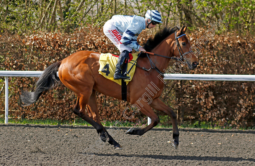 Ellexis-0001 
 ELLEXIS (Jack Mitchell)
Kempton 10 Apr 2023 - Pic Steven Cargill / Racingfotos.com