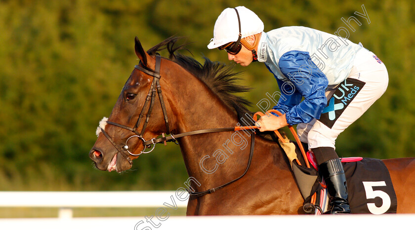 Rudy-Lewis-0002 
 RUDY LEWIS (Stevie Donohoe)
Chelmsford 23 Jul 2019 - Pic Steven Cargill / Racingfotos.com