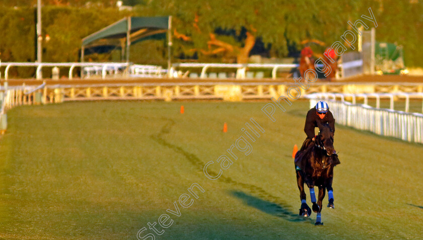 Mostahdaf-0002 
 MOSTAHDAF (Jim Crowley) training for The Breeders' Cup Turf
Santa Anita 2 Nov 2023 - Pic Steven Cargill / Racingfotos.com