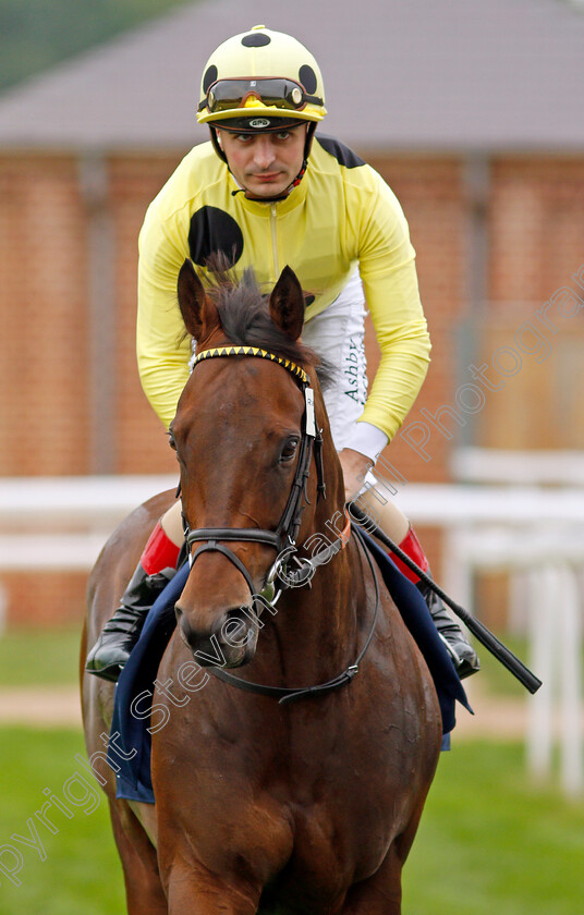 Emaraaty-Ana-0001 
 EMARAATY ANA (Andrea Atzeni)
York 20 Aug 2021 - Pic Steven Cargill / Racingfotos.com