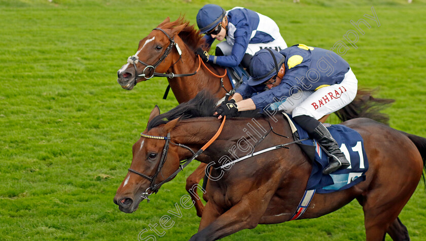 Sea-Theme-0001 
 SEA THEME (Tom Marquand) wins The British EBF & Sir Henry Cecil Galtres Stakes
York 24 Aug 2023 - Pic Steven Cargill / Racingfotos.com