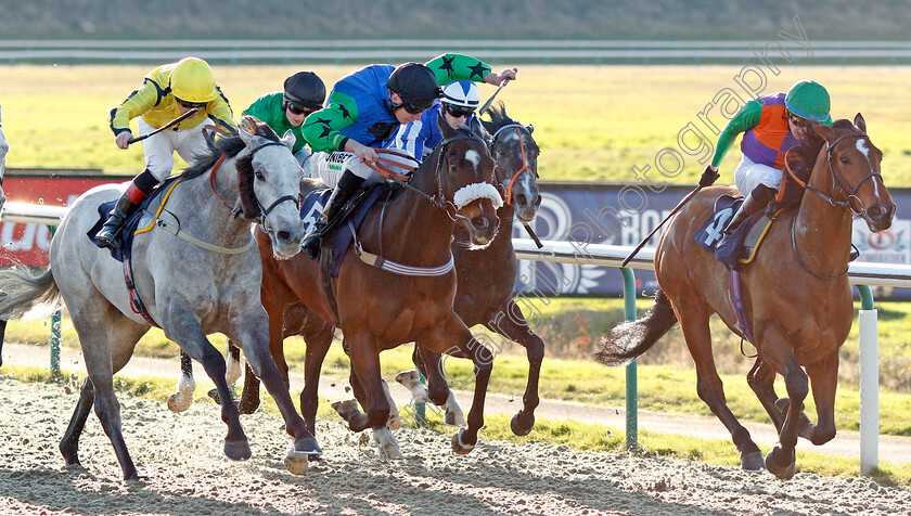 Reeves-0003 
 REEVES (right, Sean Davis) beats POWER LINK (left) and MOHAREB (centre) in The Bombardier Golden Beer Handicap
Lingfield 10 Jan 2020 - Pic Steven Cargill / Racingfotos.com