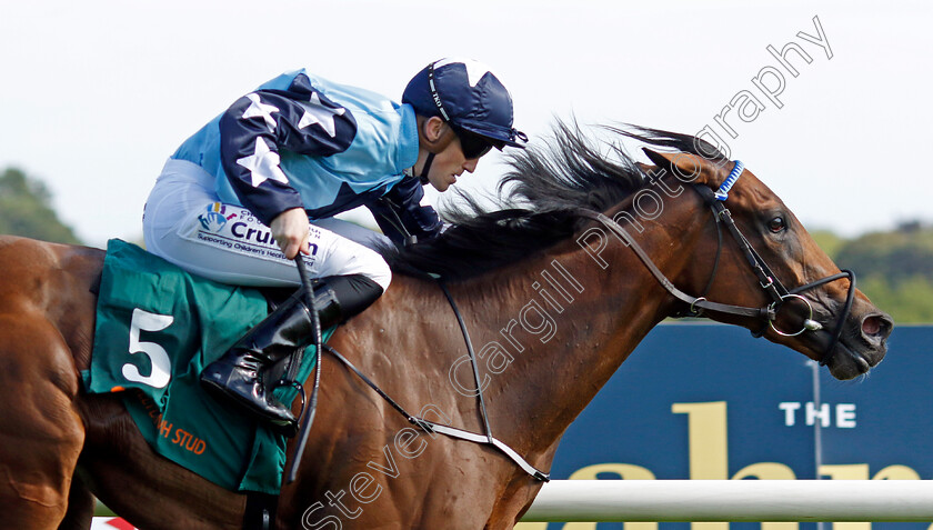 Kitty-Rose-0002 
 KITTY ROSE (Billy Lee) wins The Ballylinch Stud Irish EBF Ingabelle Stakes
Leopardstown 9 Sep 2023 - Pic Steven Cargill / Racingfotos.com