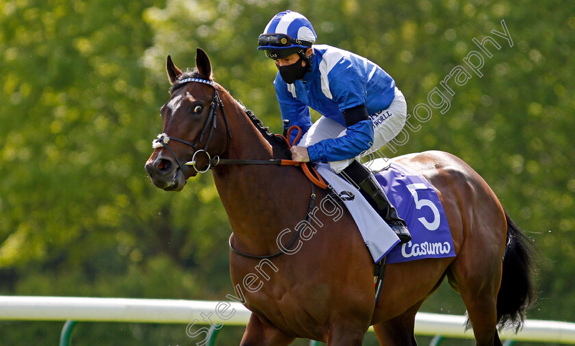 Mujbar-0002 
 MUJBAR (Dane O'Neill)
Haydock 22 May 2021 - Pic Steven Cargill / Racingfotos.com