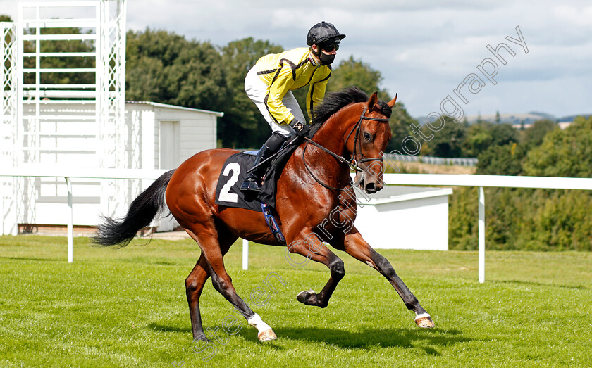 Rommel-0001 
 ROMMEL (Charles Bishop)
Goodwood 28 Aug 2020 - Pic Steven Cargill / Racingfotos.com