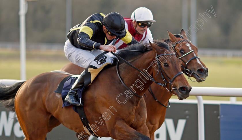 Meng-Tian-0005 
 MENG TIAN (James Doyle) wins The Coral Proud To Support British Racing Handicap
Wolverhampton 12 Mar 2022 - Pic Steven Cargill / Racingfotos.com