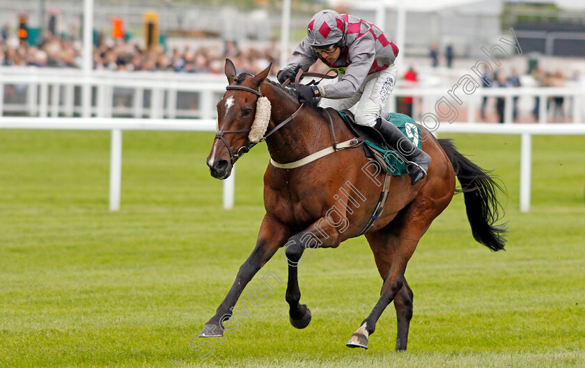 Barel-Of-Laughs-0006 
 BAREL OF LAUGHS (Alex Edwards) wins The Timico Mixed Open Gold Cup Final Hunters Chase Cheltenham 4 May 2018 - Pic Steven Cargill / Racingfotos.com