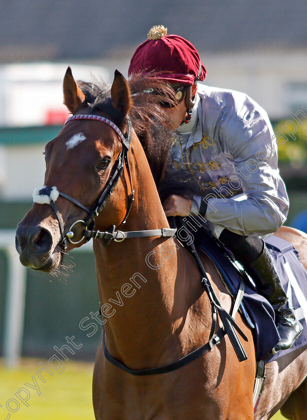 Hlaitan-0001 
 HLAITAN (James Doyle)
Yarmouth 19 Sep 2019 - Pic Steven Cargill / Racingfotos.com