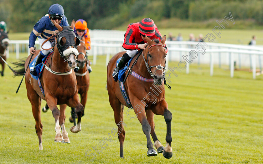 Sea-Of-Mystery-0005 
 SEA OF MYSTERY (Mark Crehan) beats ORANGE SUIT (left) in The Swan Apprentice Handicap
Leicester 10 Sep 2019 - Pic Steven Cargill / Racingfotos.com