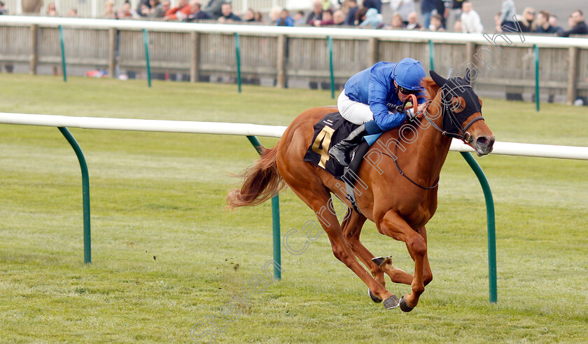 Chasing-Dreams-0002 
 CHASING DREAMS (William Buick) wins The bet365 British EBF Maiden Fillies Stakes
Newmarket 16 Apr 2019 - Pic Steven Cargill / Racingfotos.com