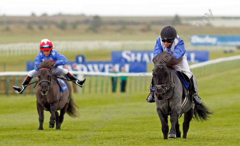 Briar-Smokey-Joe-0001 
 BRIAR SMOKEY JOE (Zak Kent) wins The Shetland Pony Grand National Flat Race Newmarket 29 Sep 2017 - Pic Steven Cargill / Racingfotos.com