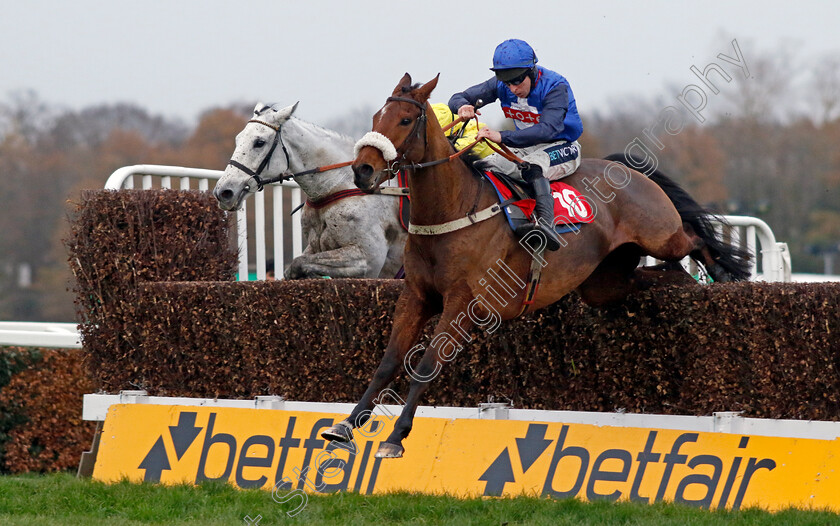 Animal-0003 
 ANIMAL (Gavin Sheehan) wins The Betfair Exchange Handicap Chase
Sandown 8 Dec 2023 - pic Steven Cargill / Racingfotos.com