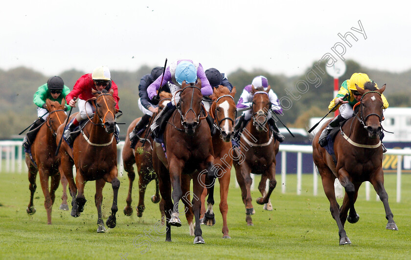 Dancing-Star-0003 
 DANCING STAR (centre, Oisin Murphy) beats EIRENE (right) in The Japan Racing Association Sceptre Stakes
Doncaster 14 Sep 2018 - Pic Steven Cargill / Racingfotos.com