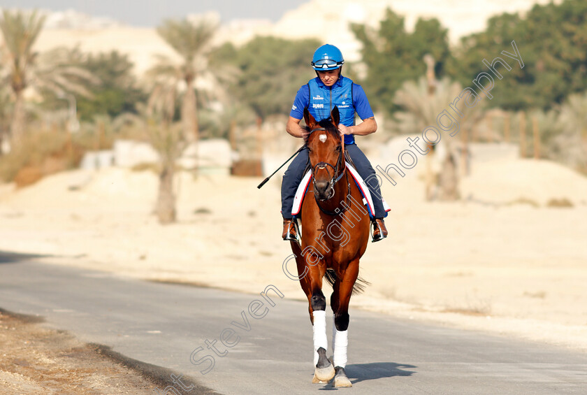 Dubai-Future-0001 
 DUBAI FUTURE exercising in preparation for Friday's Bahrain International Trophy
Sakhir Racecourse, Bahrain 17 Nov 2021 - Pic Steven Cargill / Racingfotos.com