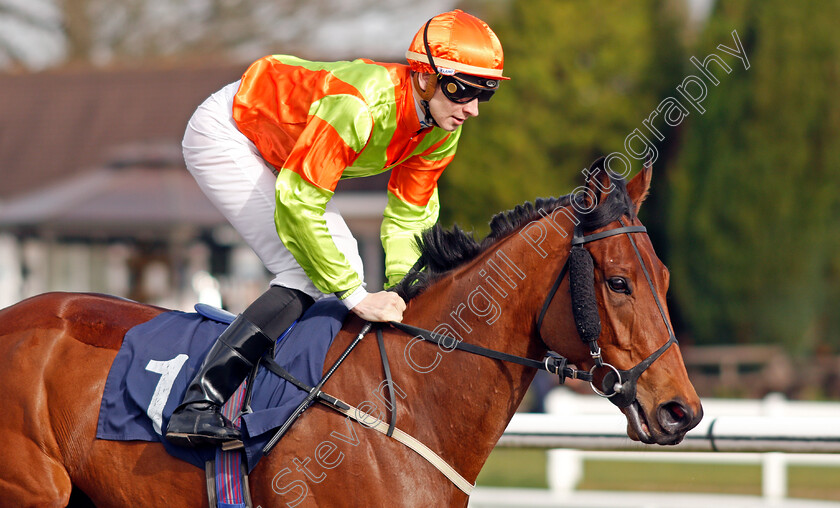 Agent-Of-Fortune-0001 
 AGENT OF FORTUNE (Hector Crouch)
Lingfield 22 Feb 2020 - Pic Steven Cargill / Racingfotos.com