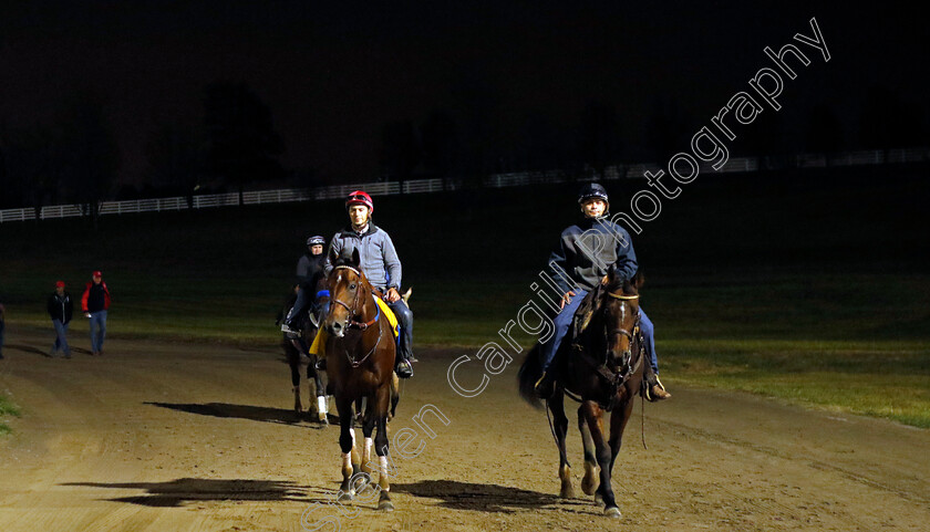 Flightline-0002 
 FLIGHTLINE training for the Breeders' Cup Classic
Keeneland USA 1 Nov 2022 - Pic Steven Cargill / Racingfotos.com