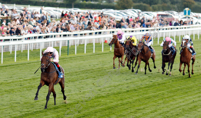 Lah-Ti-Dar-0002 
 LAH TI DAR (Frankie Dettori) wins The British EBF & Sir Henry Cecil Galtres Stakes
York 23 Aug 2018 - Pic Steven Cargill / Racingfotos.com