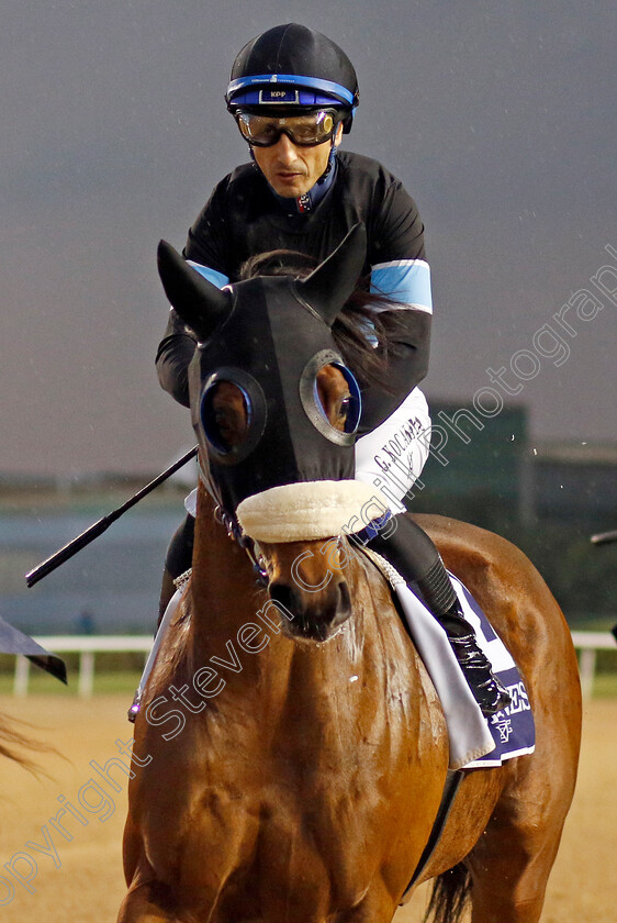 Cosmic-Kid-0001 
 COSMIC KID (Gokhan Kocakaya)
Meydan 27 Jan 2023 - Pic Steven Cargill / Racingfotos.com