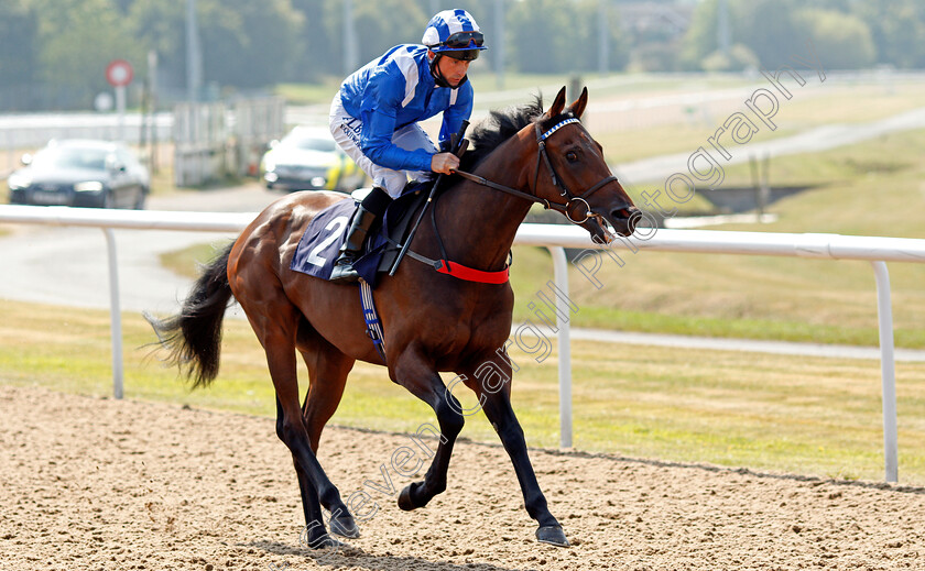 Arqoob-0001 
 ARQOOB (Dane O'Neill)
Wolverhampton 11 Aug 2020 - Pic Steven Cargill / Racingfotos.com