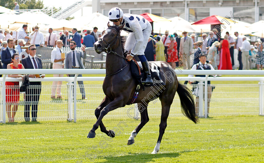 Amestris-0001 
 AMESTRIS (Hector Crouch)
Goodwood 31 Jul 2024 - Pic Steven Cargill / Racingfotos.com